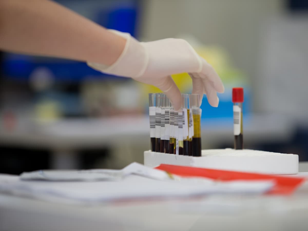 A gloved hand holding a labelled blood sample tube